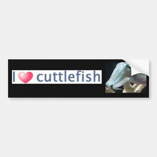Luminous Cuttlefish Bumper Sticker (Front)