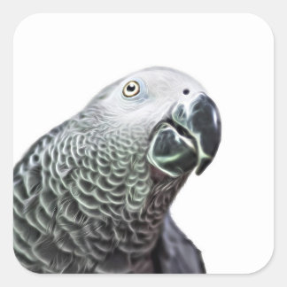 Luminous Parrot Art African Grey Bird Stickers
