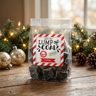 Lump of Coal funny funky Christmas Santa Square Sticker