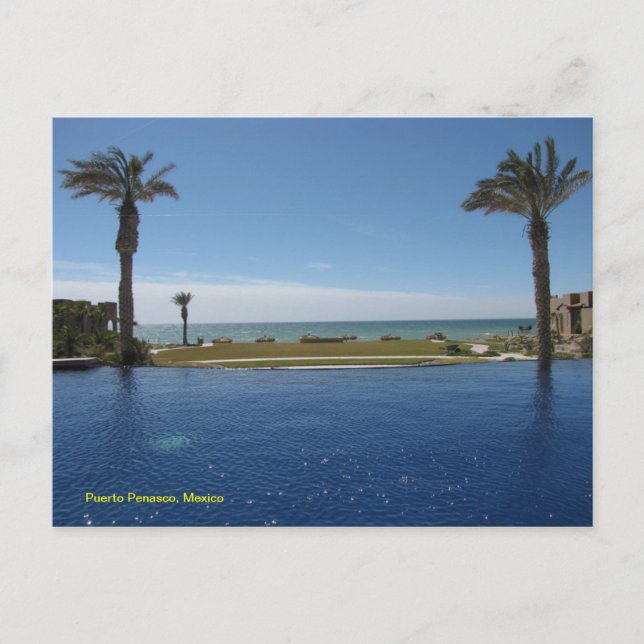 Luna Blanca Postcard (Front)