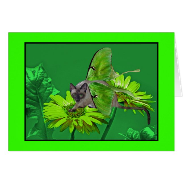 Luna Cat Vibrant Green Gerbera (Front Horizontal)