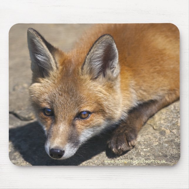 Luna Fox Mousemat (Front)