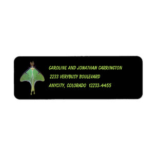 Luna Moth