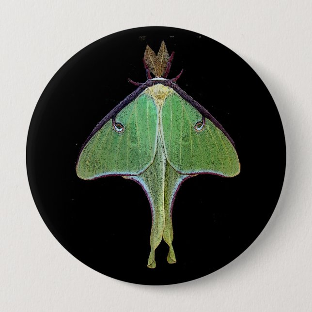 Luna Moth 10 Cm Round Badge (Front)