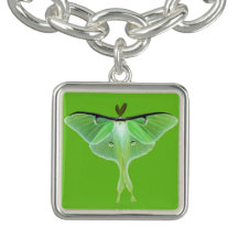 Luna Moth