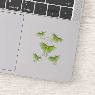 Luna Moth cartoon illustration