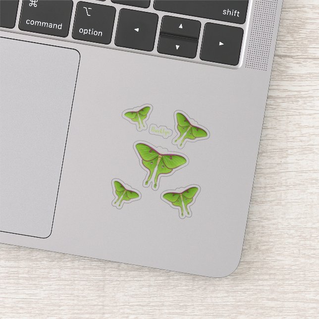 Luna Moth cartoon illustration  (Detail)