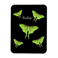 Luna Moth cartoon illustration