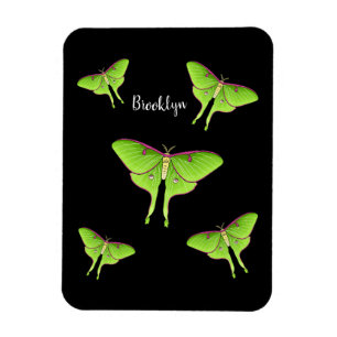 Luna Moth cartoon illustration Magnet