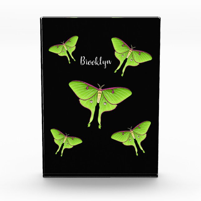 Luna Moth cartoon illustration   Photo Block (Front)