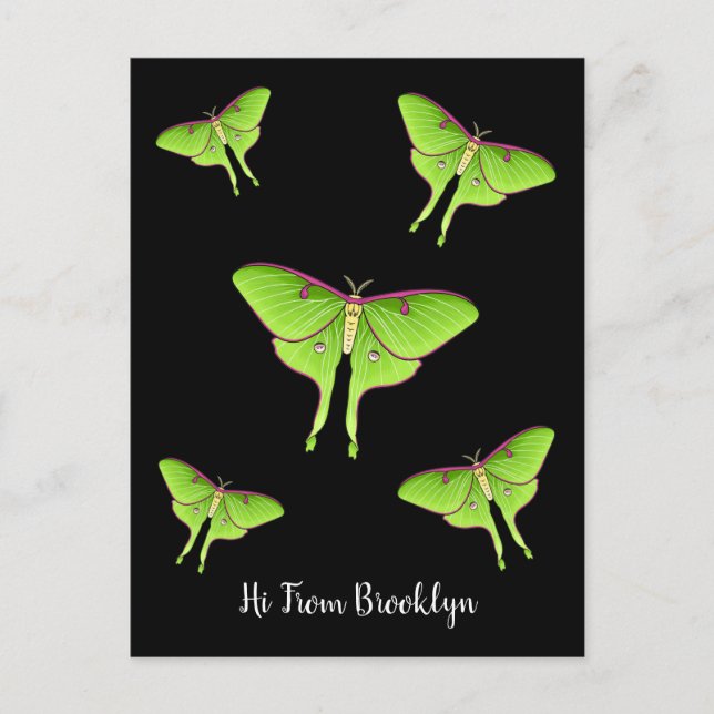 Luna Moth cartoon illustration Postcard (Front)