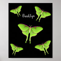 Luna Moth cartoon illustration