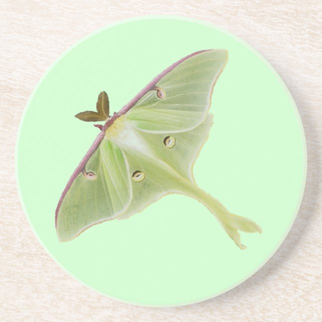 Luna Moth Coaster (Front)