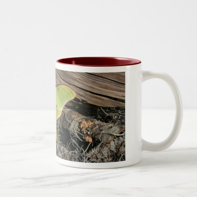 Luna Moth Coffee Mug (Right)