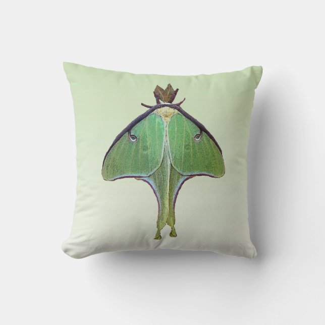 Luna Moth Cushion (Front)