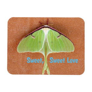 Luna Moth Flexible Magnet