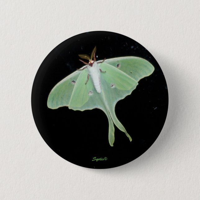 Luna Moth  Insect Button (Front)