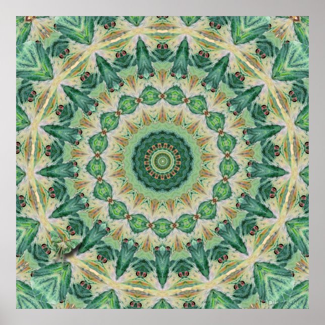 Luna Moth Kaleidoscope Art Print (Front)