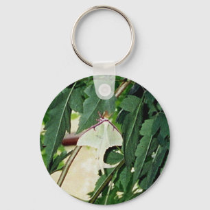 Luna Moth Key Ring