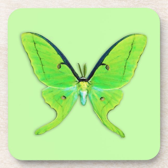 Luna moth on a pale green background coaster (Front)