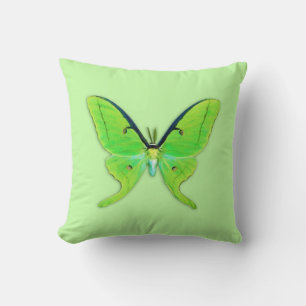 Luna moth on a pale green background cushion