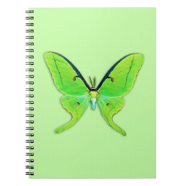 Luna moth on a pale green background spiral notebook (Front)
