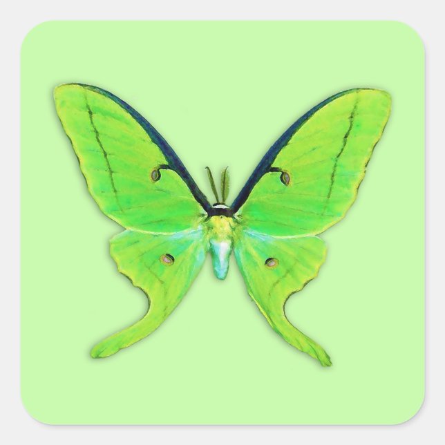 Luna moth on a pale green background square sticker (Front)