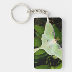 Luna Moth on Carnaby Clematis Key Ring