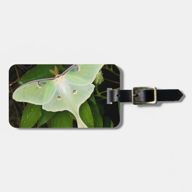 Luna Moth on Carnaby Clematis Luggage Tag (Front Horizontal)