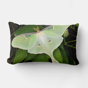 Luna Moth on Carnaby Clematis Lumbar Cushion