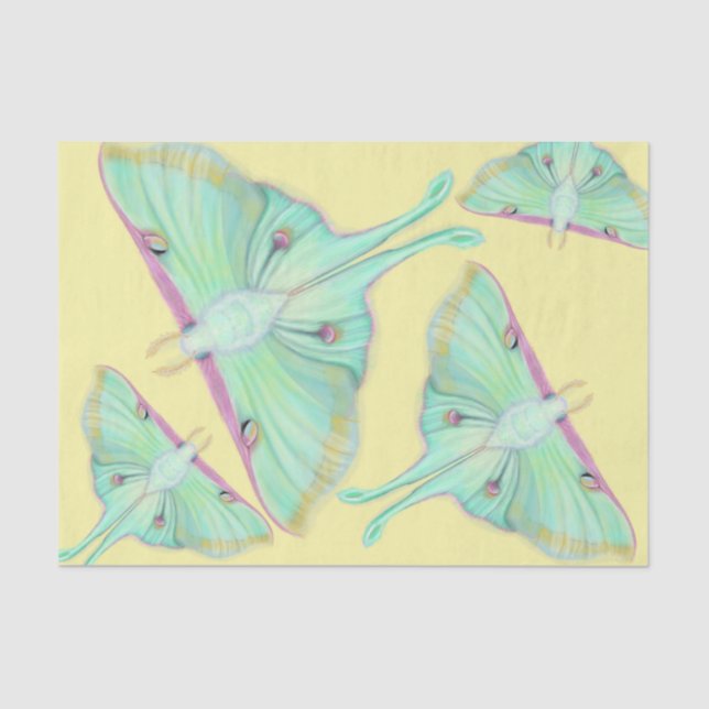 Luna Moth on yellow Tissue Paper (Front)
