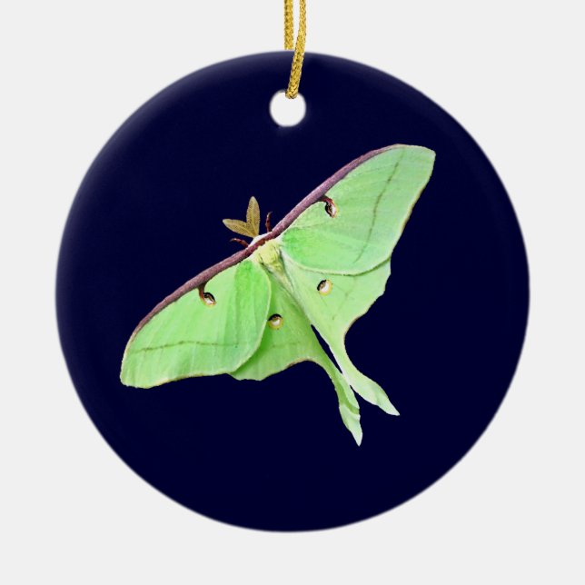 Luna Moth Ornament (Front)