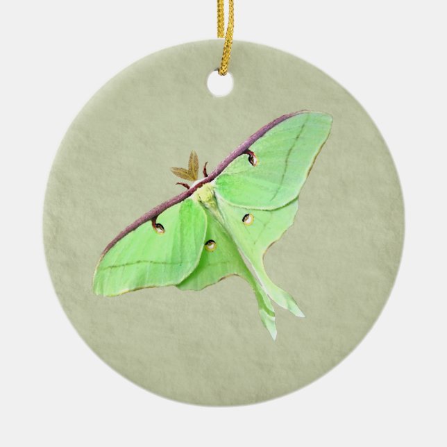 Luna Moth Ornament (Front)