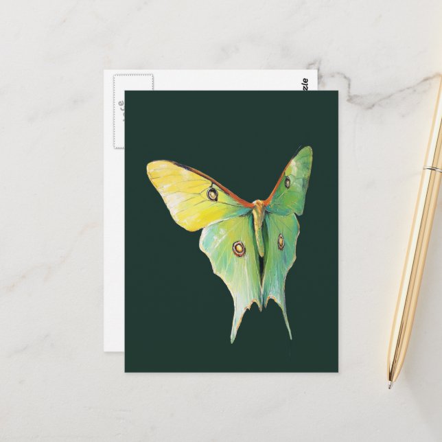 Luna Moth Painting on Dark Background Postcard (Front/Back In Situ)