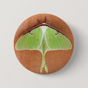 Luna Moth Pin Button
