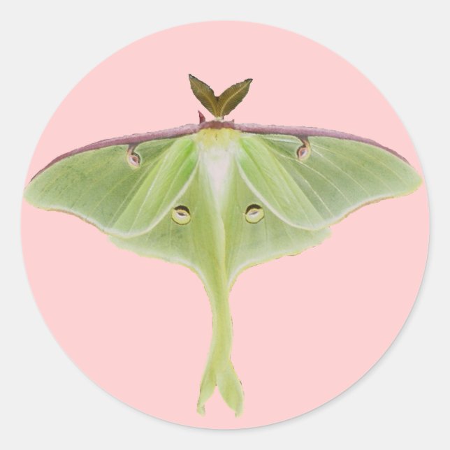 Luna Moth Stickers (Front)