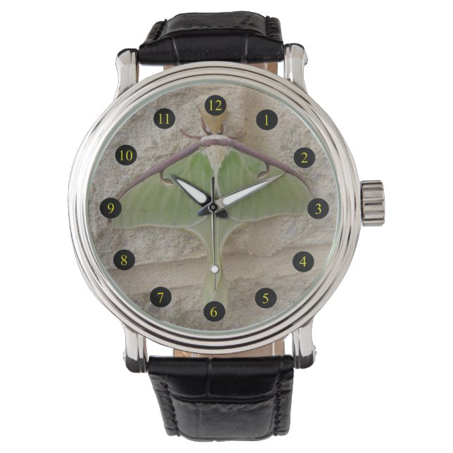 Luna Moth Watch (Front)