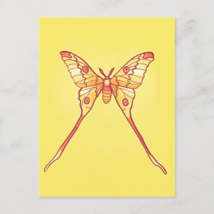 Luna Moth Yellow Orange Witchy Magical Insect Postcard