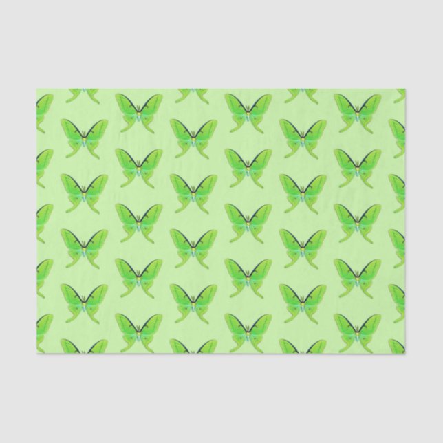 Luna moths - lime green on a pale green background tissue paper (Front)
