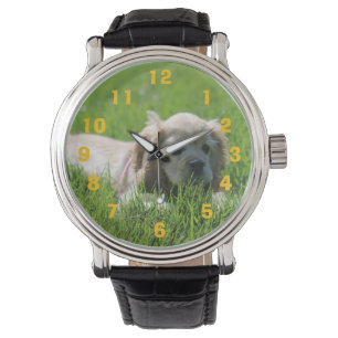 Luna Watch