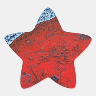 LUNAR BEACH STAR STICKER