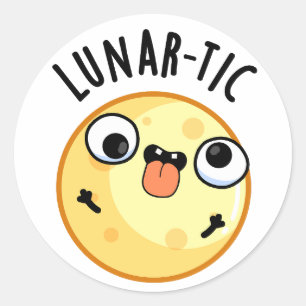 Lunar-tic Funny Astronomy Moon Pun  Classic Round Sticker