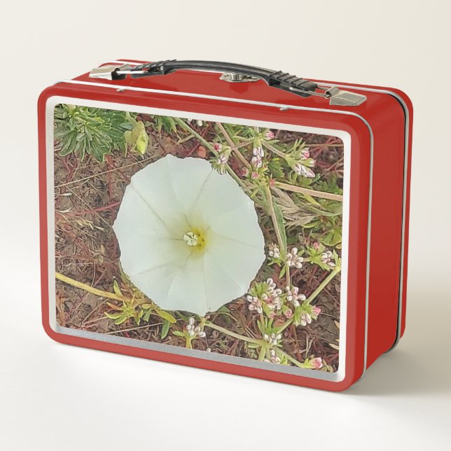 Lunch Box with greeting and picture (Back)