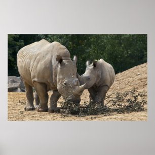 Lunch with Mum Print