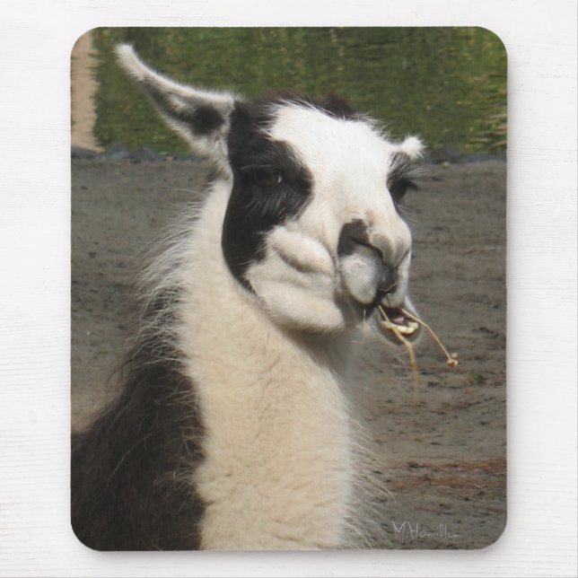 Lunching Llama Mouse Pad (Front)