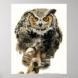 Lunchtime - Great Horned Owl Poster