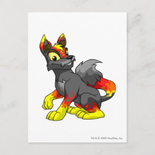 Lupe Fire Postcard