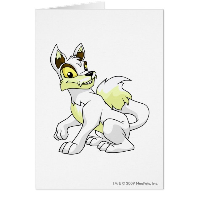 Lupe White (Front)
