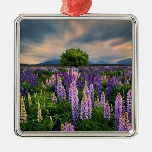 Lupin Field in New Zealand Metal Tree Decoration (Front)