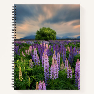Lupin Field in New Zealand Notebook